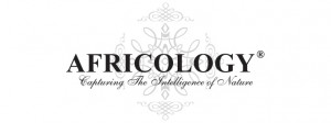 youbar-product-africology-logo